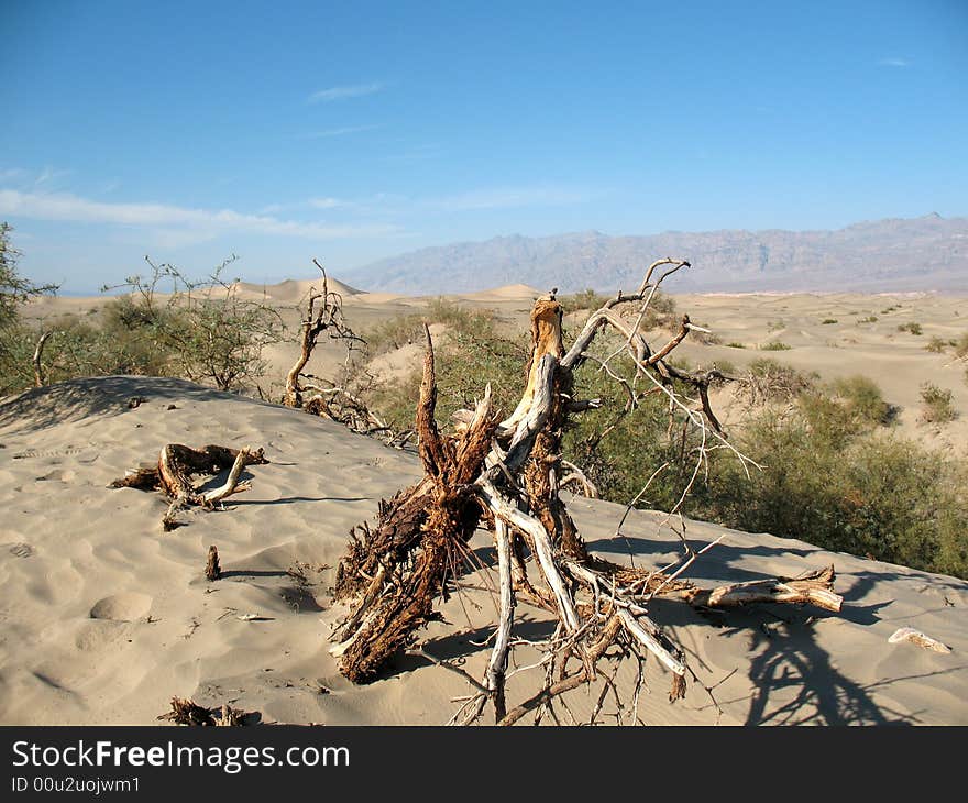 Sand dunes, Death Valley, California