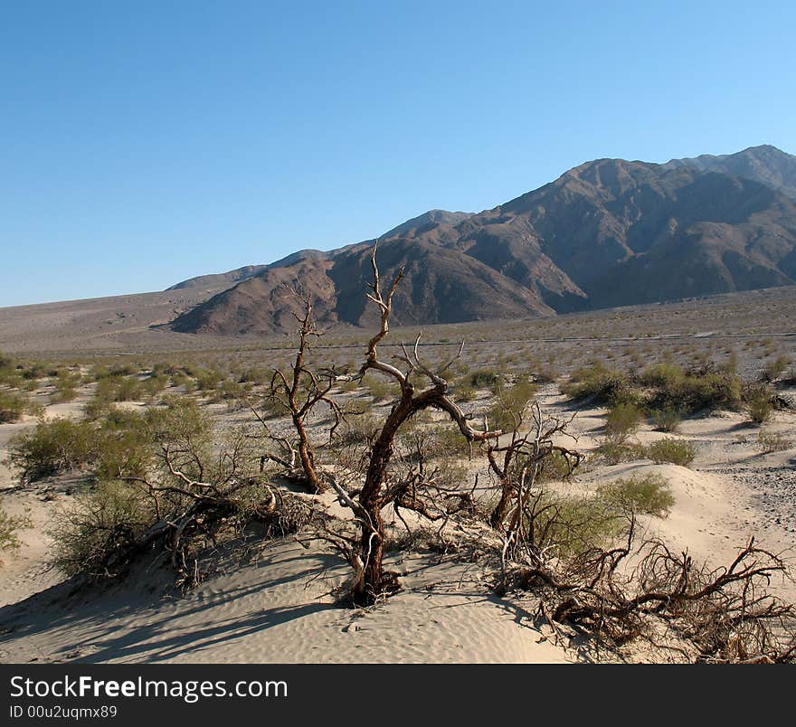 Sand dunes, Death Valley National Park, California. Sand dunes, Death Valley National Park, California