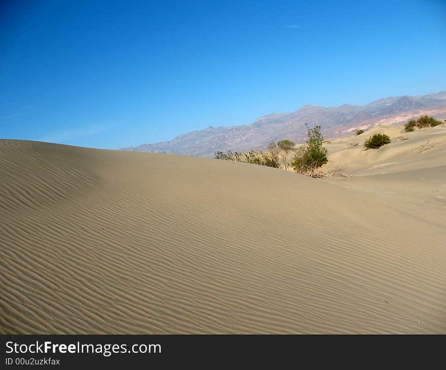 Sand dunes, Death Valley, California