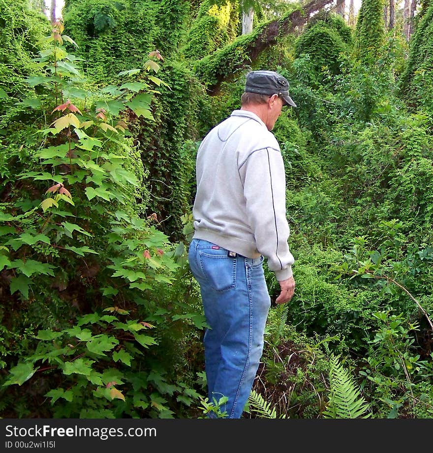 Man surveying beauty of vegetation in St. Lucie, FL. Man surveying beauty of vegetation in St. Lucie, FL