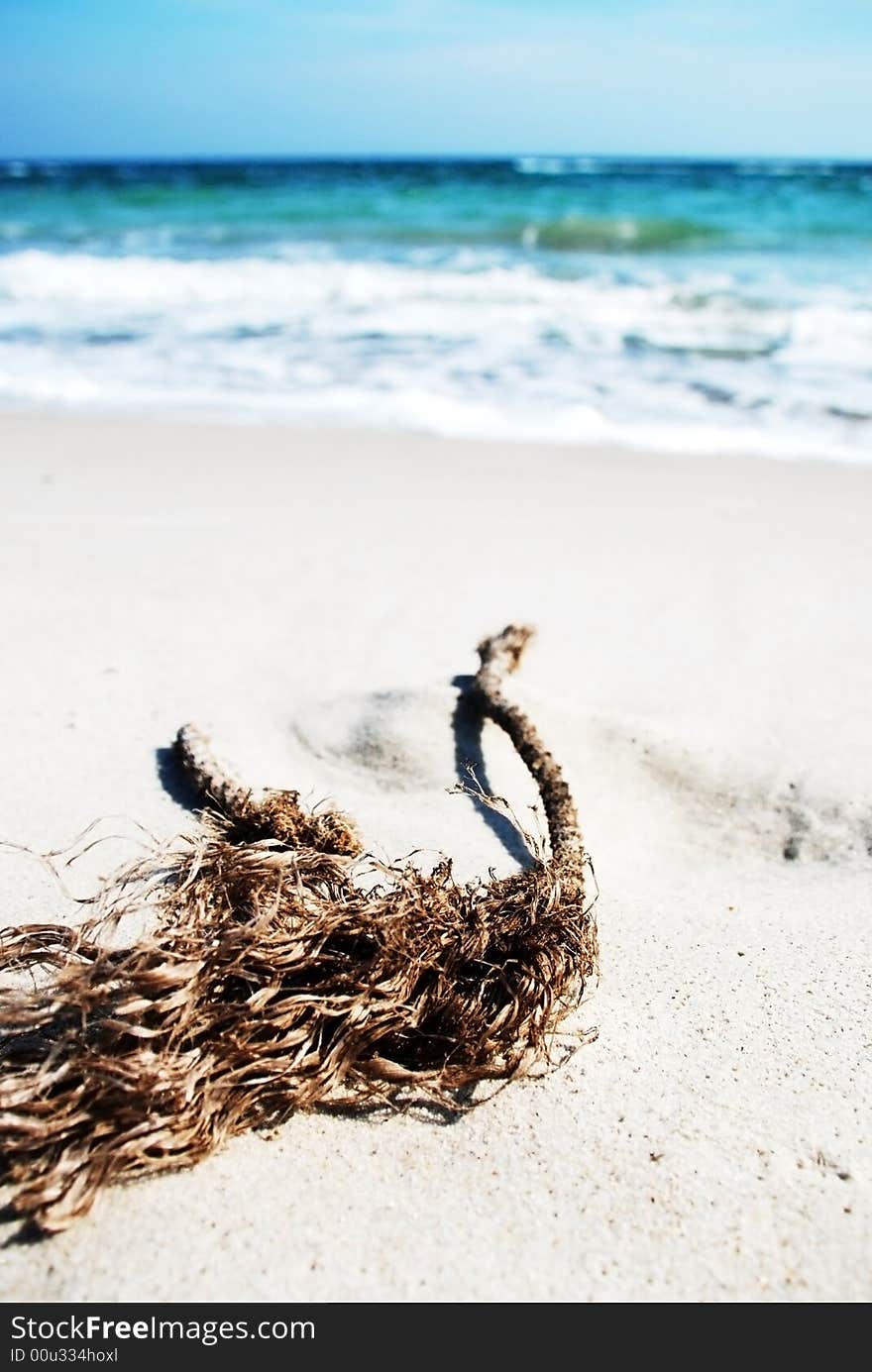 Old rope at the beach near blue sea