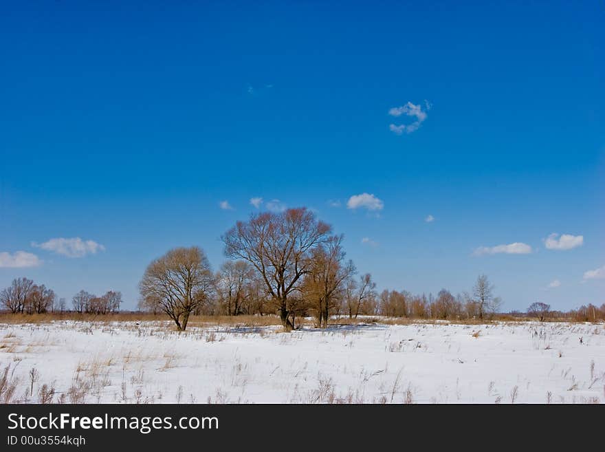 Nature series: winter landscape, fine sun weather