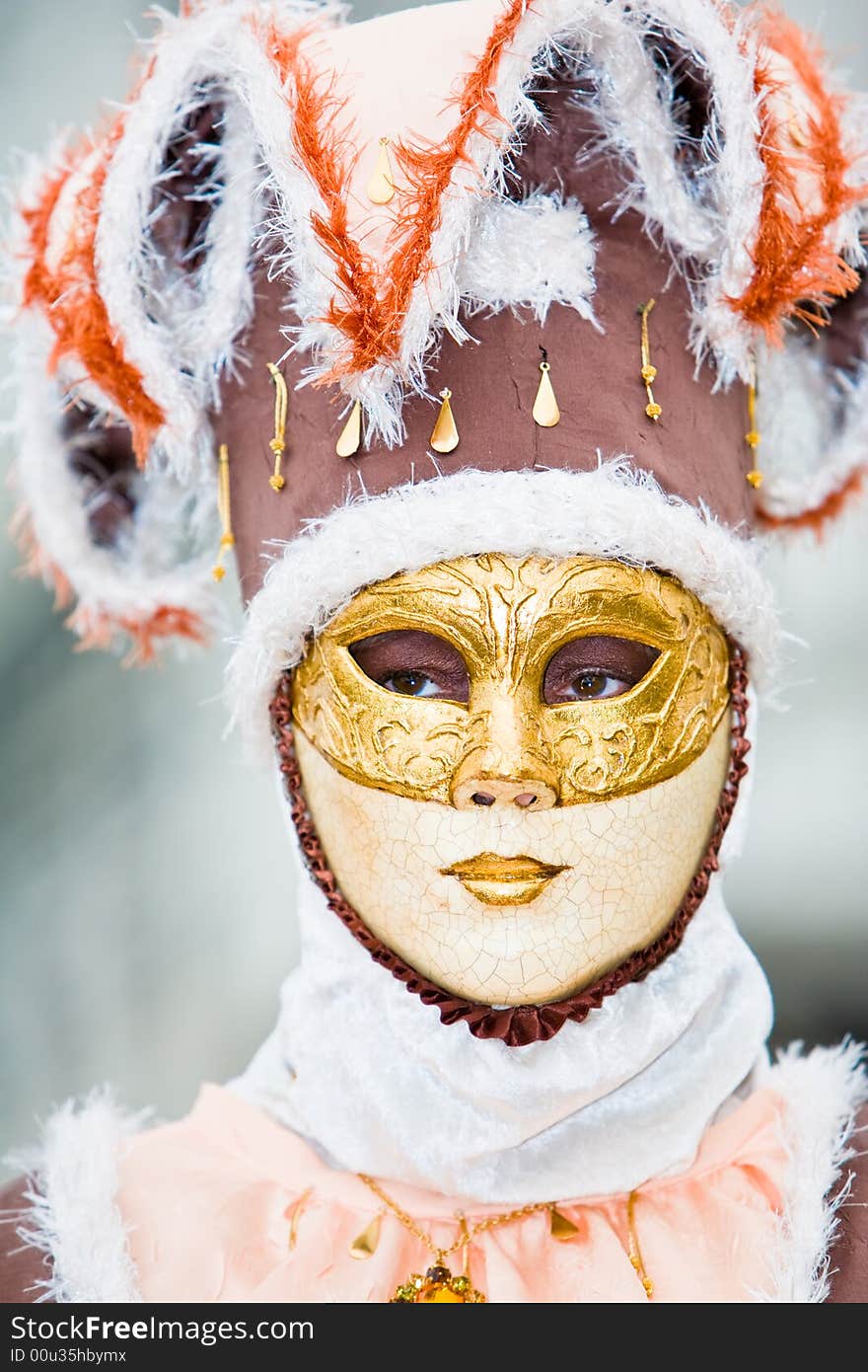 Cream and brown costume at the Venice Carnival. Cream and brown costume at the Venice Carnival