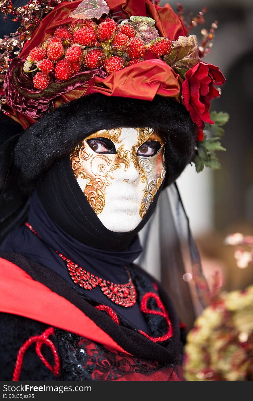 Red and black costume at the Venice Carnival. Red and black costume at the Venice Carnival