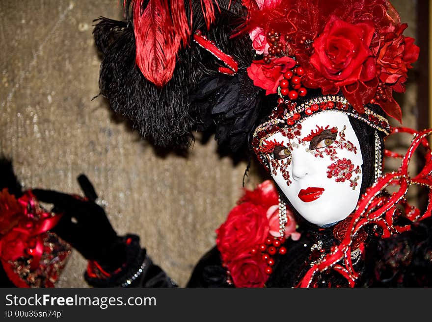 Costume with roses at the Venice Carnival. Costume with roses at the Venice Carnival