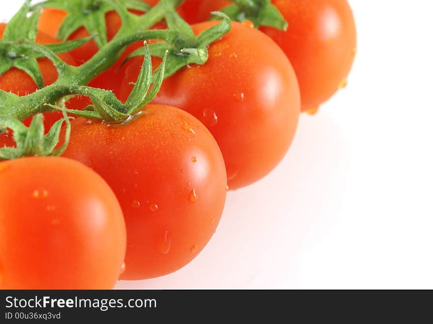 Close up of fresh juicy tomatos bunch