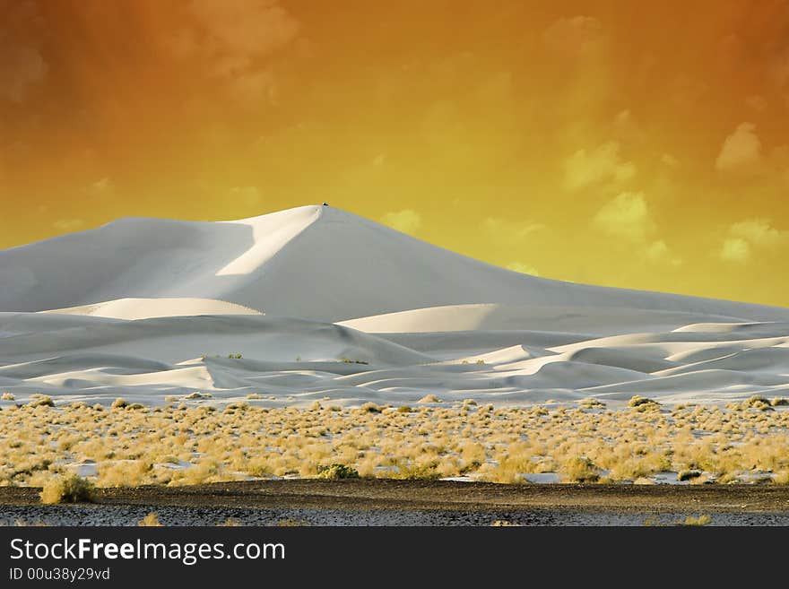 White Sand Dunes Lit By Golden Sunset