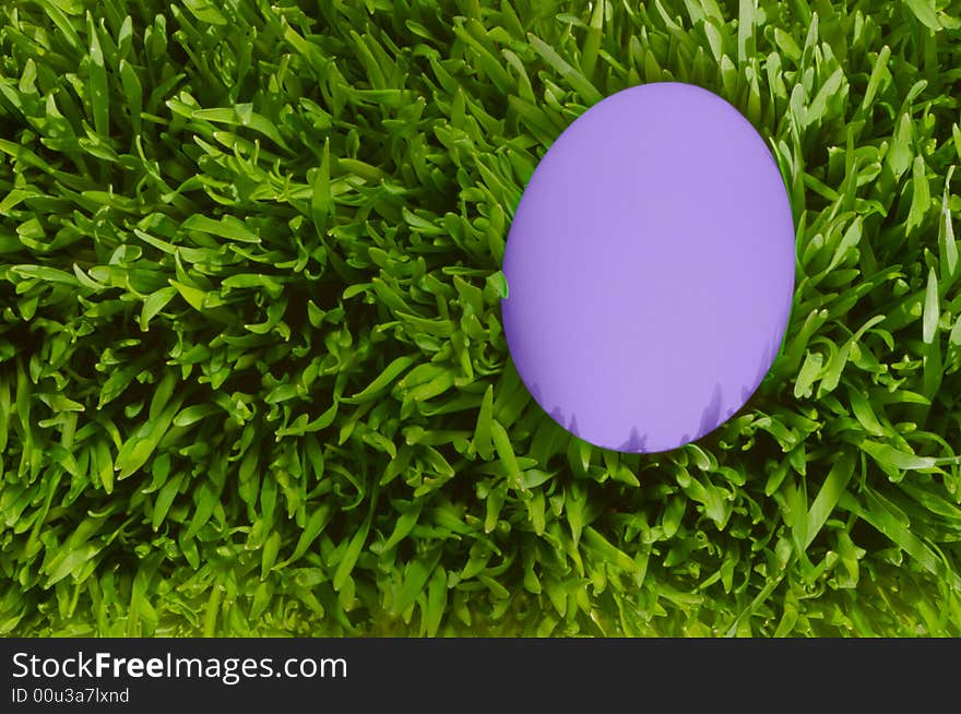 A Detailed Close Up Of A Purple Egg, Nestled In the Green Grass with Clipping Path. A Detailed Close Up Of A Purple Egg, Nestled In the Green Grass with Clipping Path