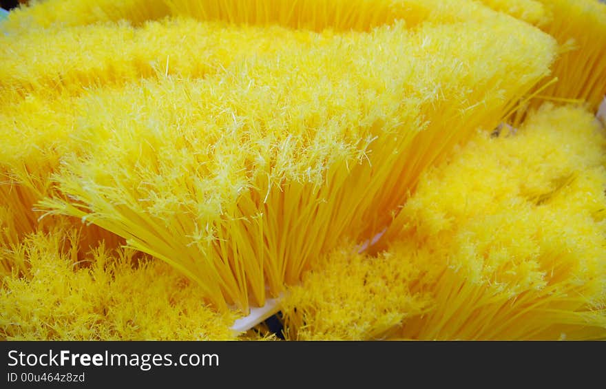 Bunch of yello new brooms at a shop