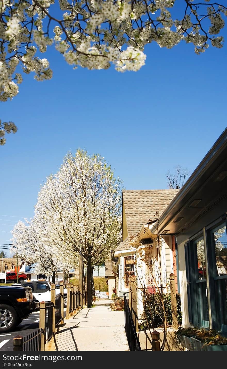 A strip shopping area in town with the spring trees in full bloom. A strip shopping area in town with the spring trees in full bloom.