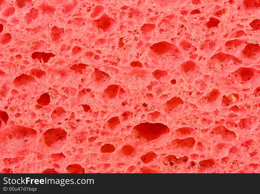 Macro shot of a sponge great detail