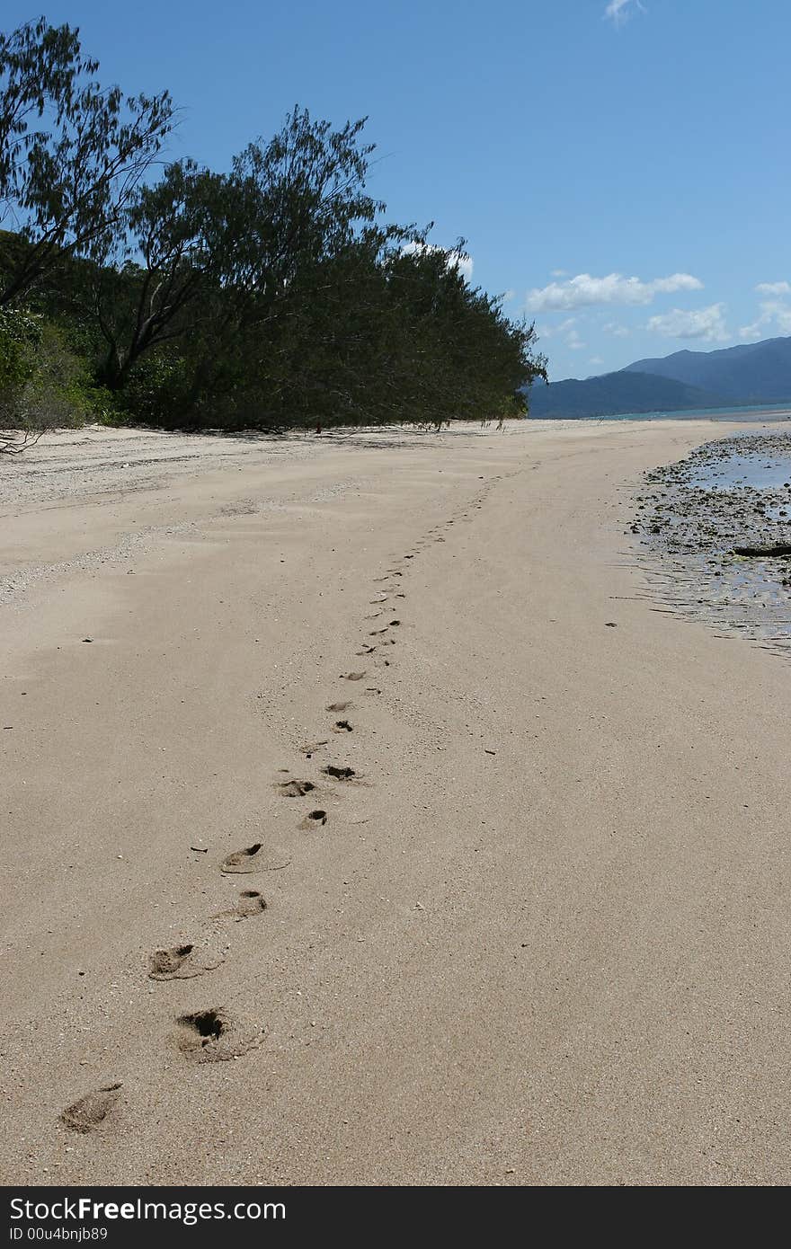 Footprints on a deserted beach in far north queensland