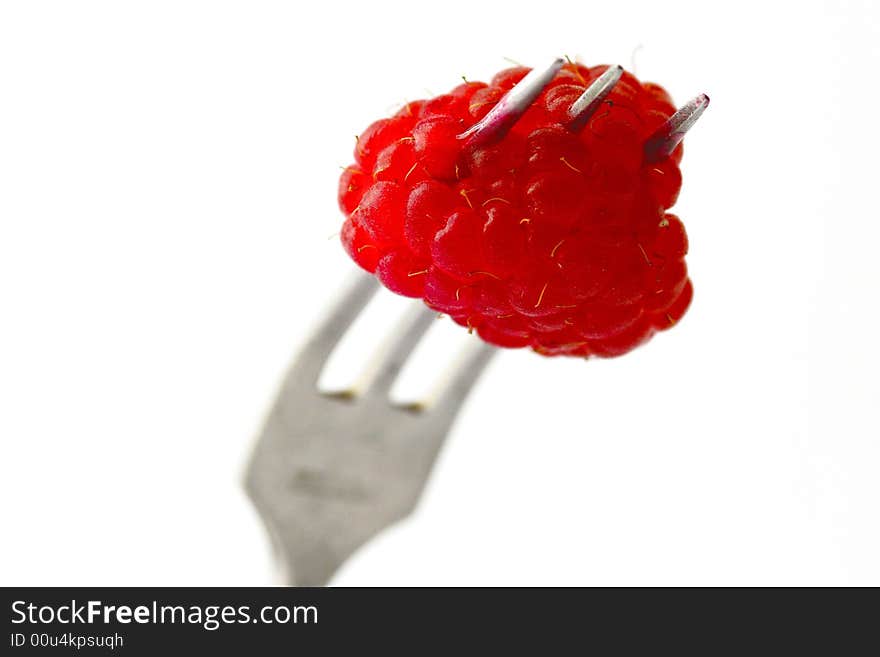 Raspberry on a fork.Raspberry close-up.