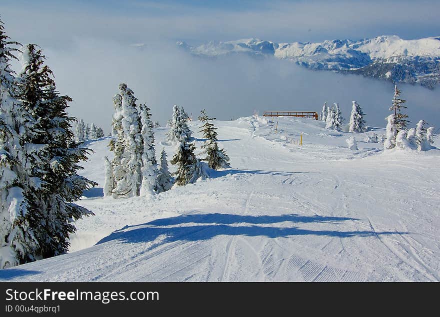 Ski slope in the snow forest