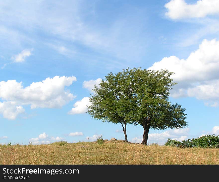 Landscape in northern Poland (made in a landscape parc in Poland)