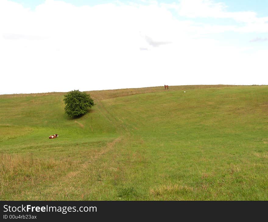 Landscape in northern Poland