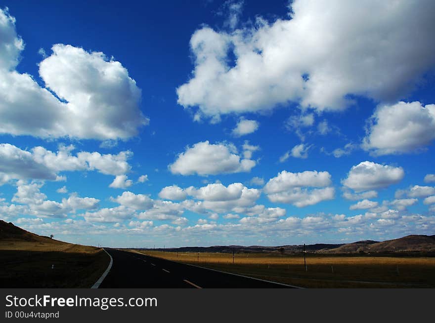 Grassland beautiful under the blue sky and white cloud