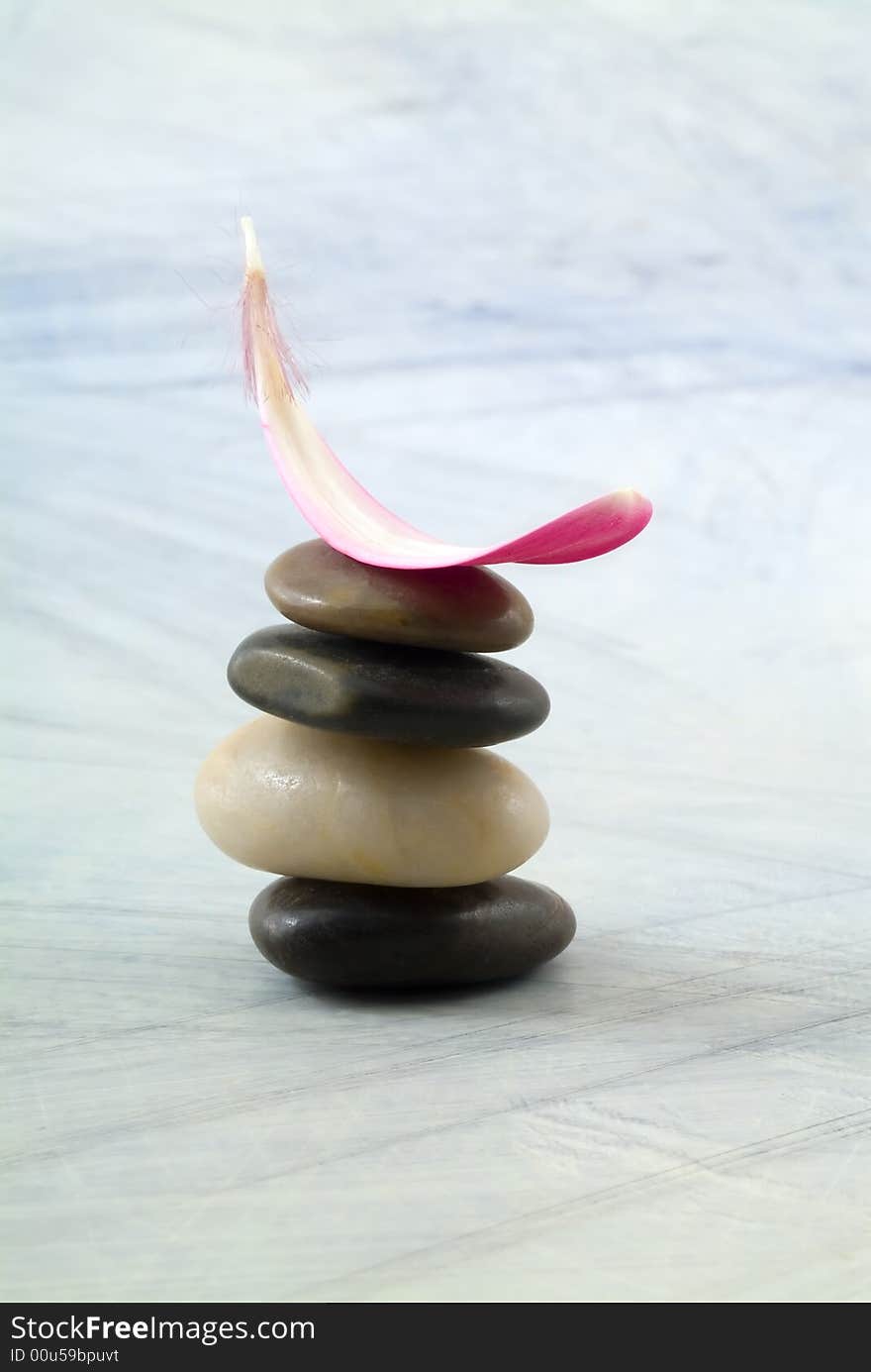 Balancing stones and pink gerber petal on grungy bluish background. Balancing stones and pink gerber petal on grungy bluish background