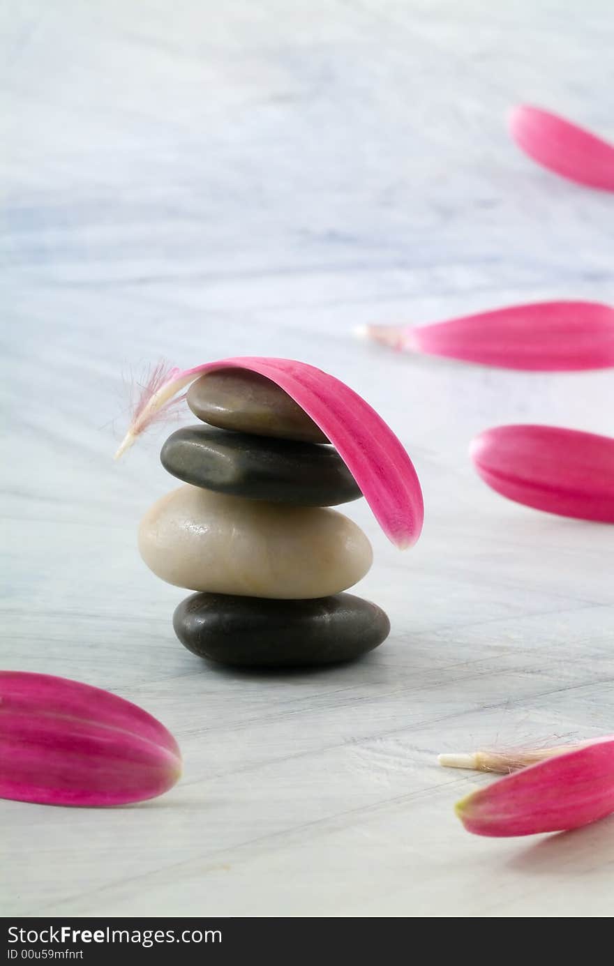 Balancing stones and pink gerber petals on grungy bluish background. Balancing stones and pink gerber petals on grungy bluish background