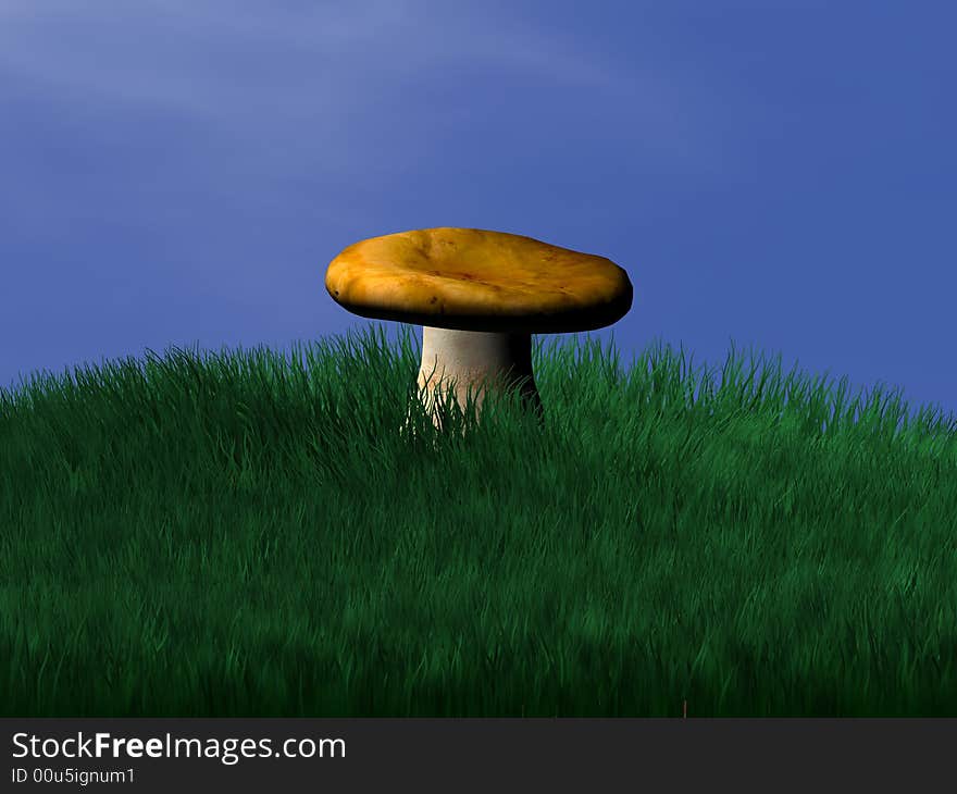 Lonely toadstool