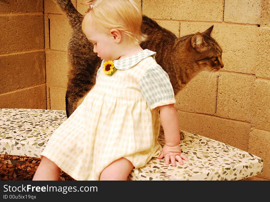 Girl is seated on garden bench with the cat. Girl is seated on garden bench with the cat.