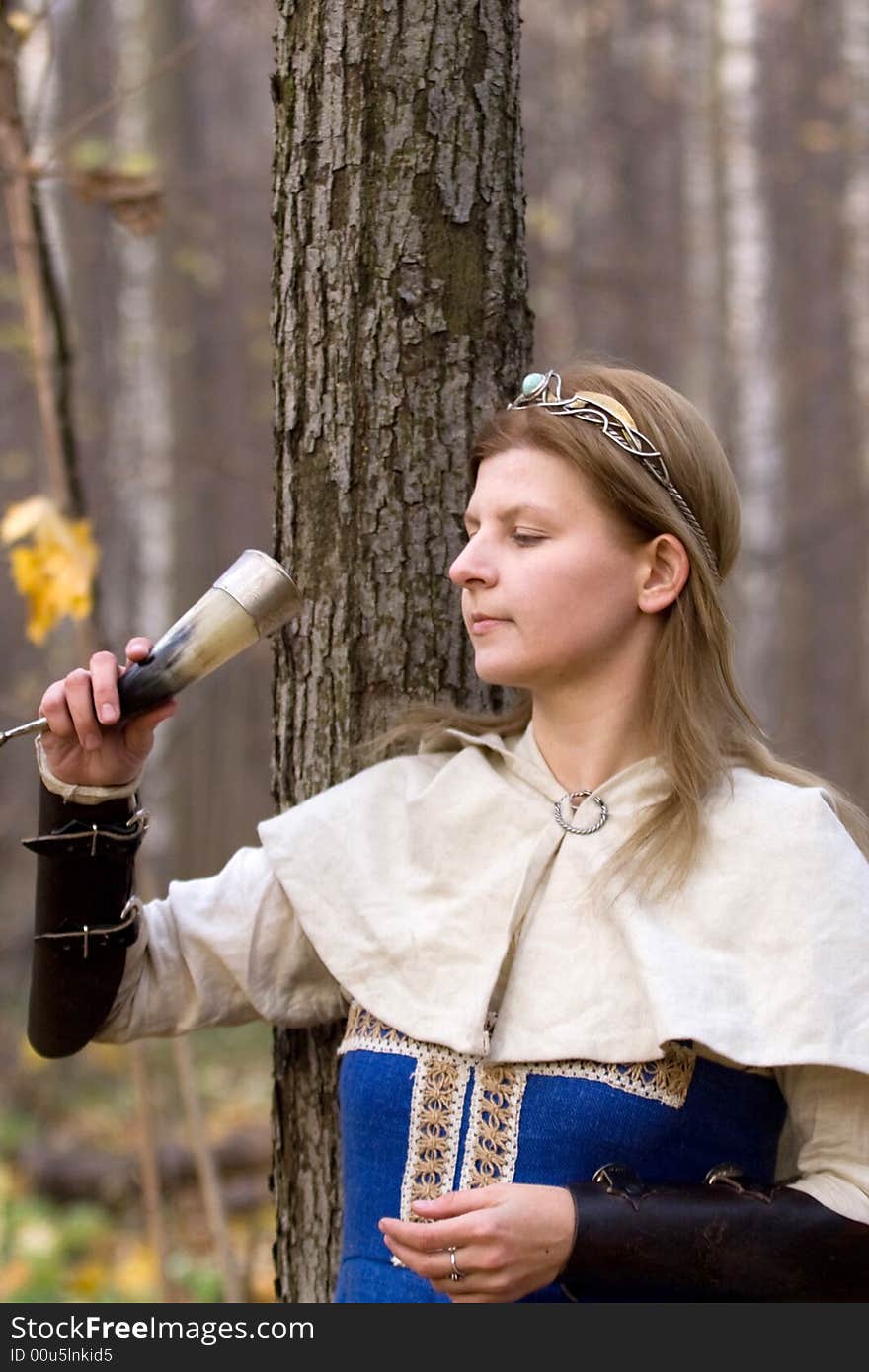 Portrait of the romantic girl in autumn forest. Portrait of the romantic girl in autumn forest