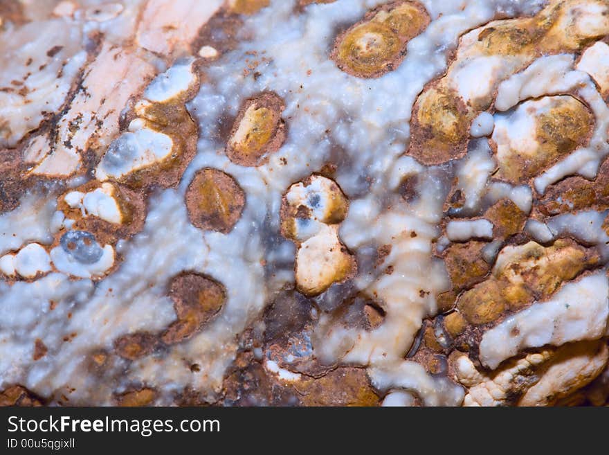 Close-up of a Rock