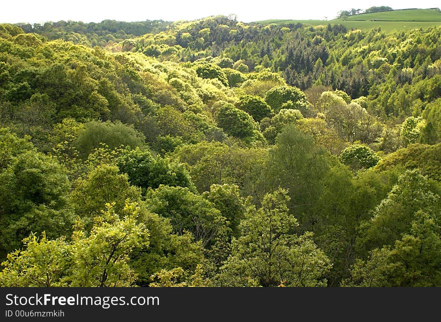 Clarksons wood cleveland