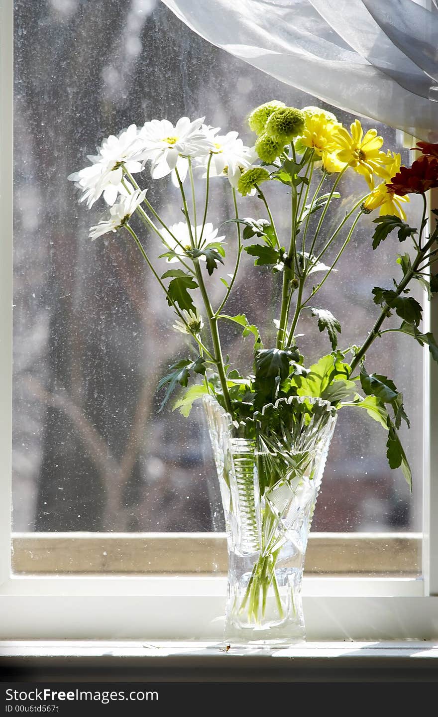 Bouquet of multicolored chamomiles in sunshine at window with silk drapery