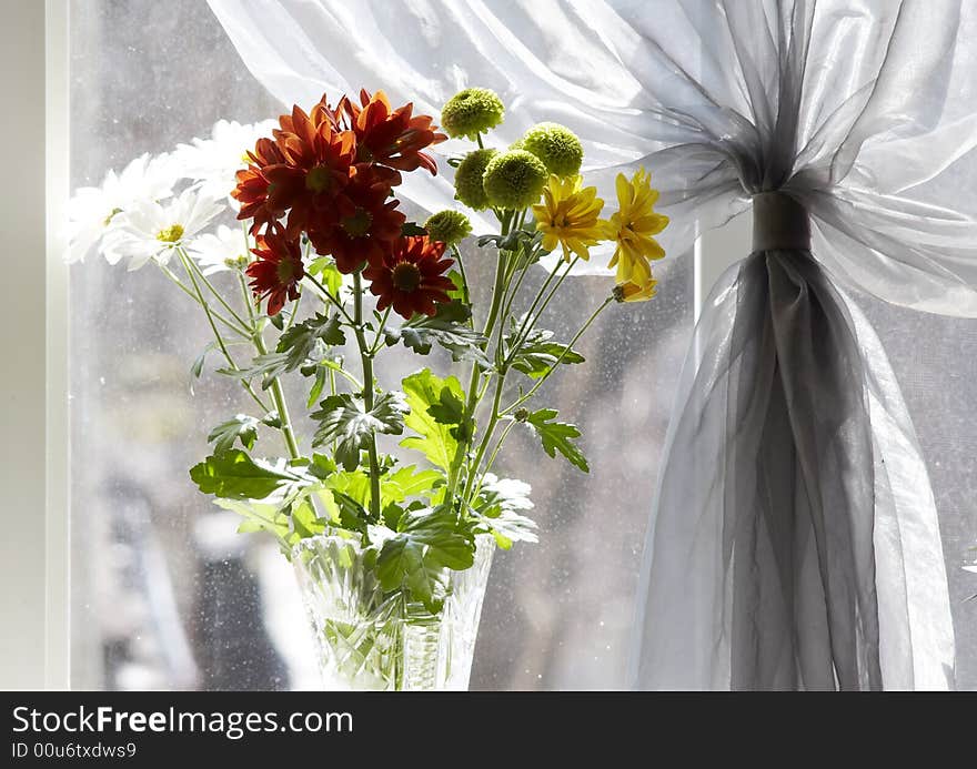 Bouquet of multicolored chamomiles in sunshine at window with silk drapery