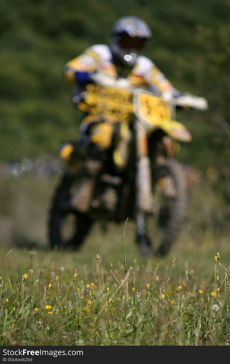 Yellow biker over yellow flowers at Endurocross competition Salicea Cluj Romania. Yellow biker over yellow flowers at Endurocross competition Salicea Cluj Romania