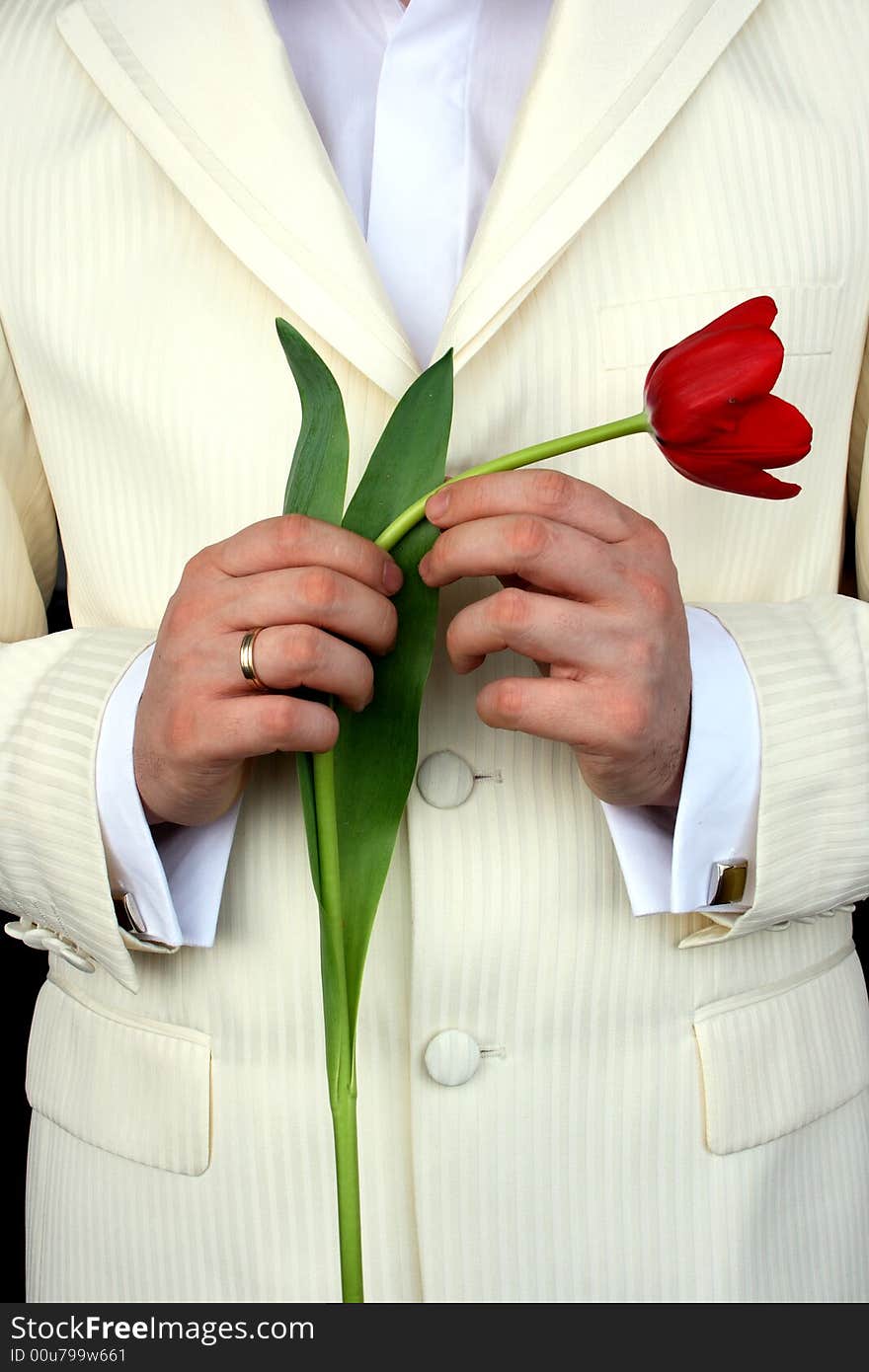 Man Holding Flowers, red tulip