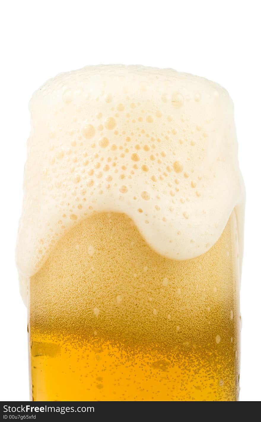 Fresh Foamy Beer