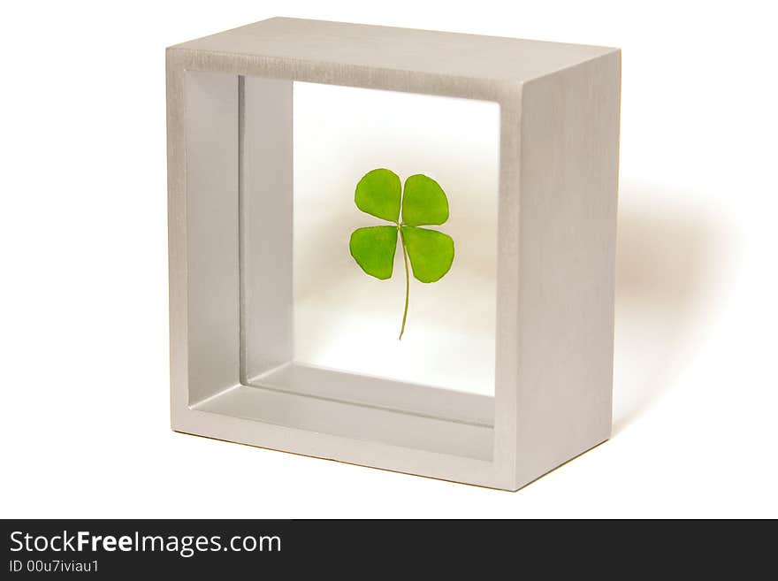 Four leaf clover sandwiched between glass and framed in a square aluminum frame. Isolated on a white background. Four leaf clover sandwiched between glass and framed in a square aluminum frame. Isolated on a white background