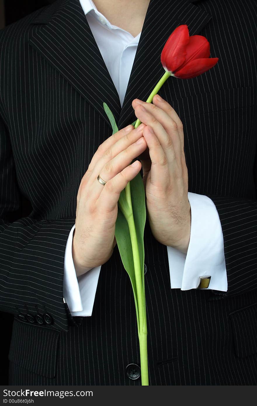 Man Holding Flowers, red tulip