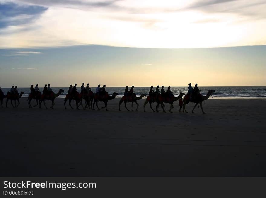 People crossing a sandy beach on camels. Australia. People crossing a sandy beach on camels. Australia.