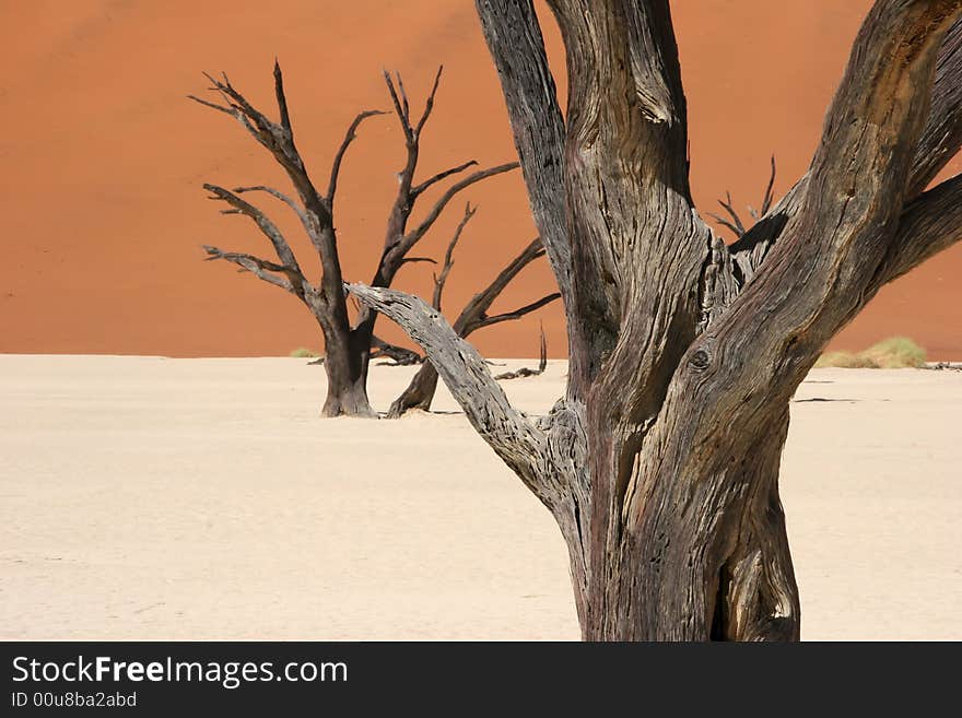 Dead Vlei Valley