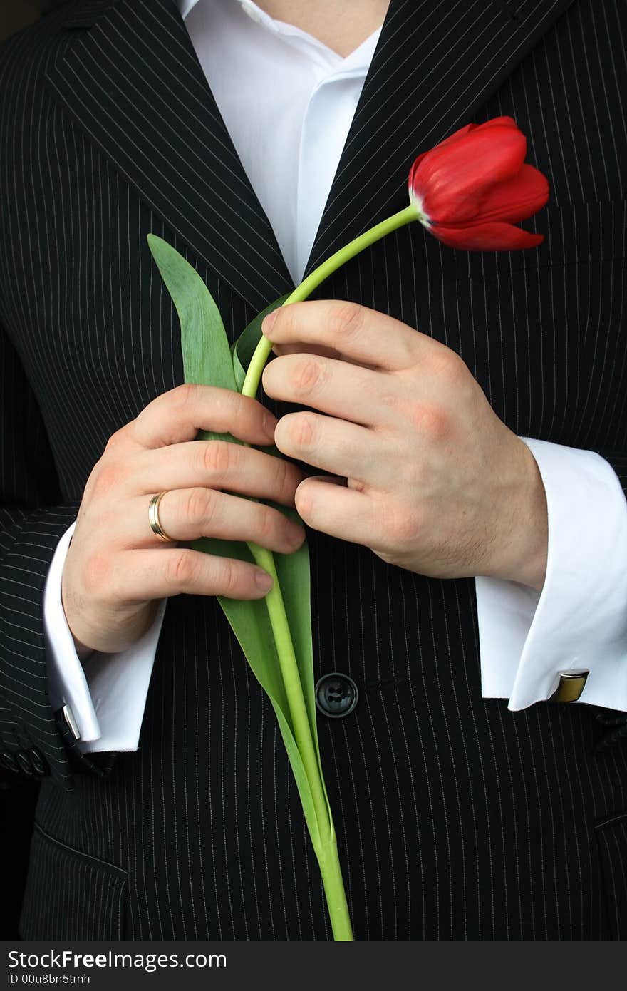 Man Holding Flowers, red tulip