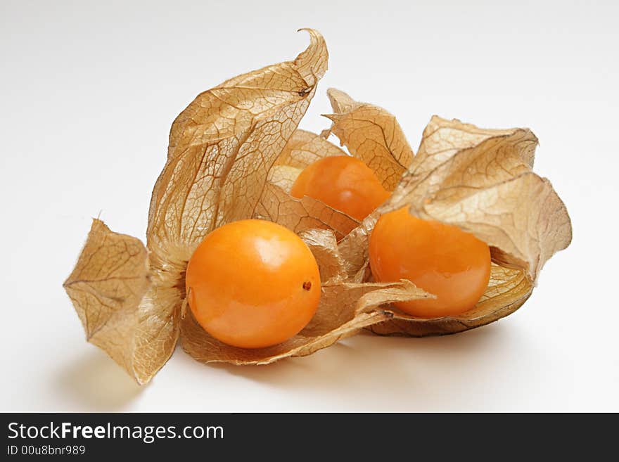 Physalis on a white background