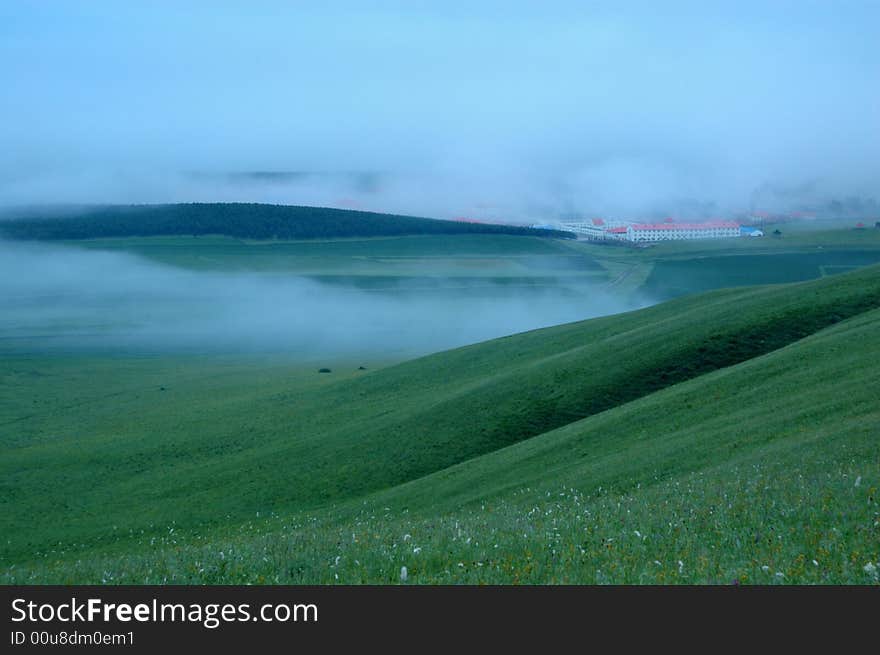 Fog on grassland