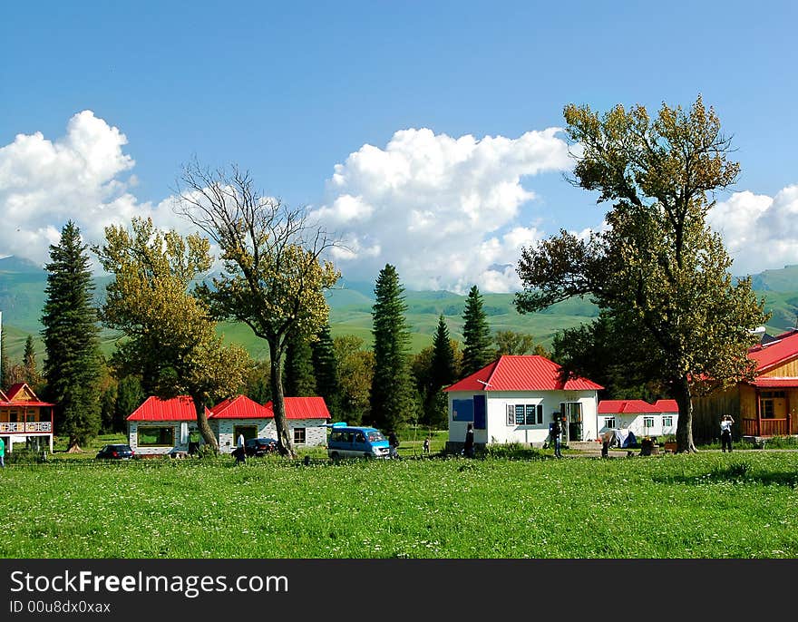 Meadow in Xinjiang-4