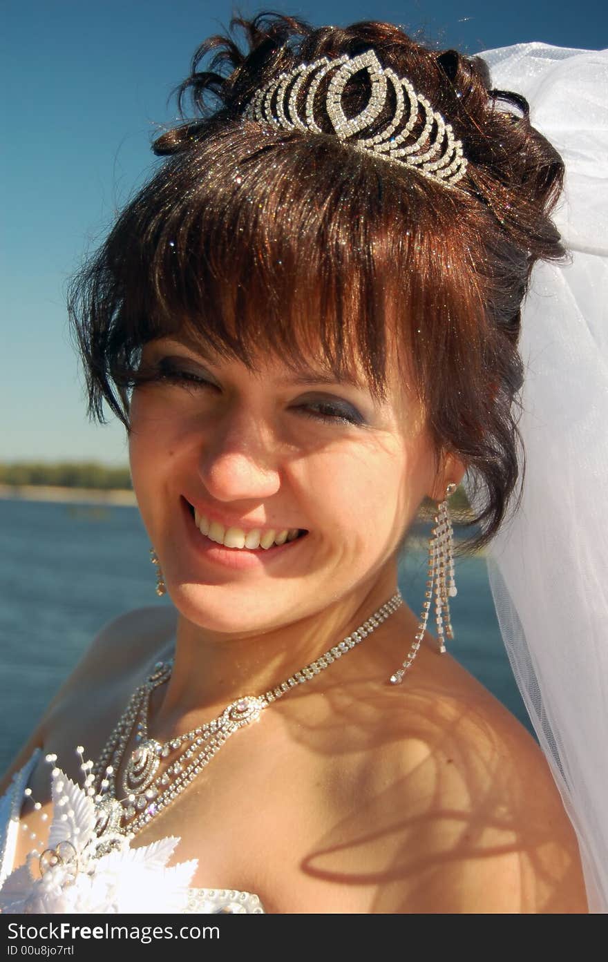 Bride S Portrait