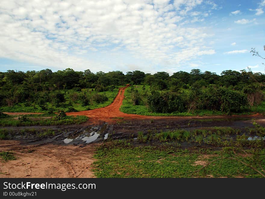 Red clay road in savanna (National park, Botswana, Africa)