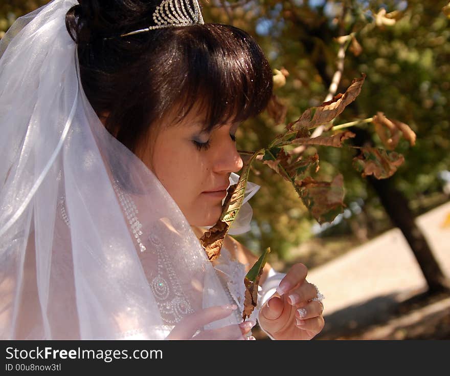 Bride s portrait