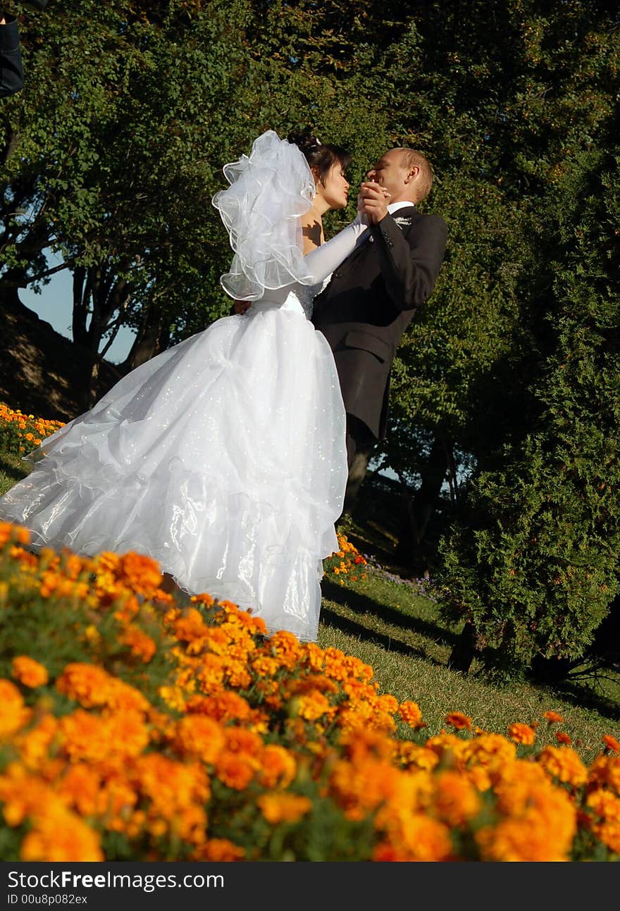 Portrait of a newly wedded couple