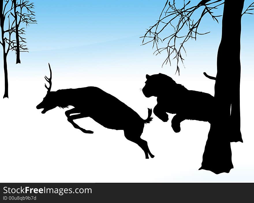 Illustration of tiger chasing a deer in snow. Illustration of tiger chasing a deer in snow