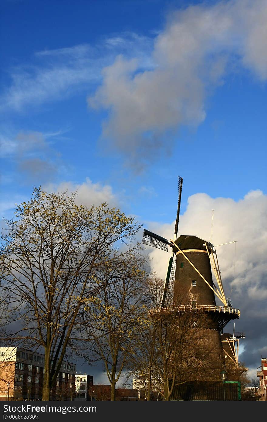 Windmill in spring