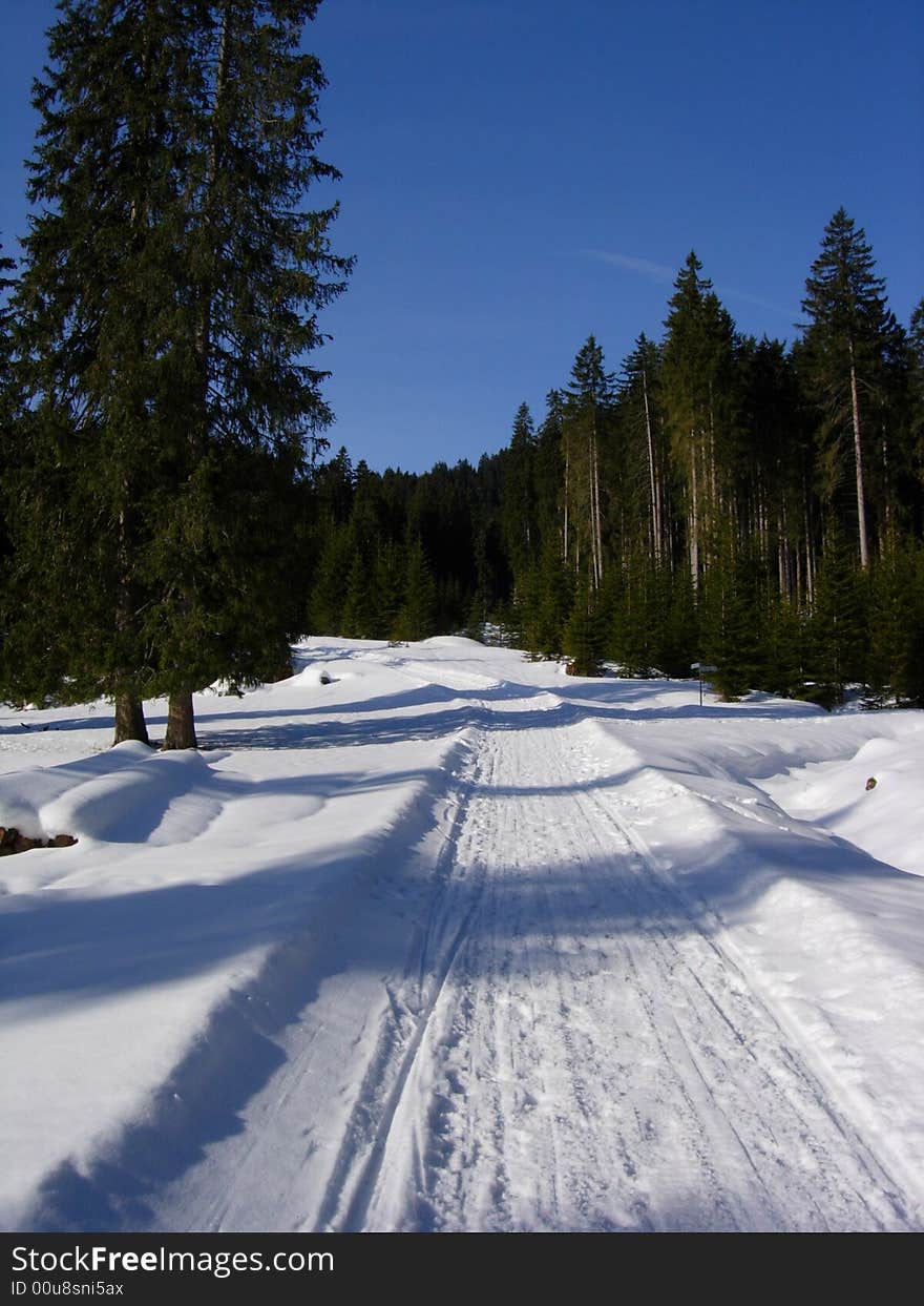 A beautiful way to hike. A beautiful way to hike