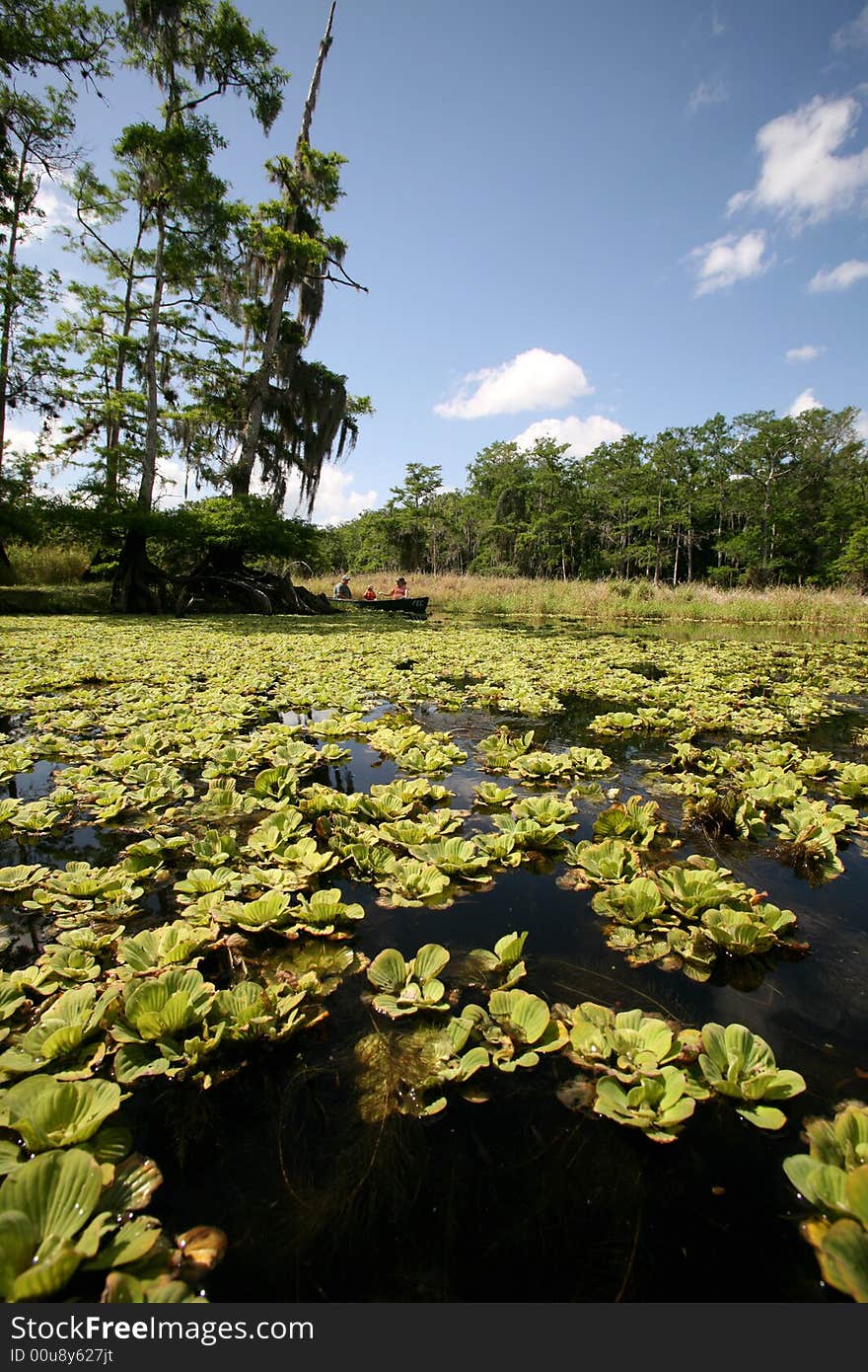 A photo from a canoe in taken in old Florida at Fish Eating Creek. A photo from a canoe in taken in old Florida at Fish Eating Creek.