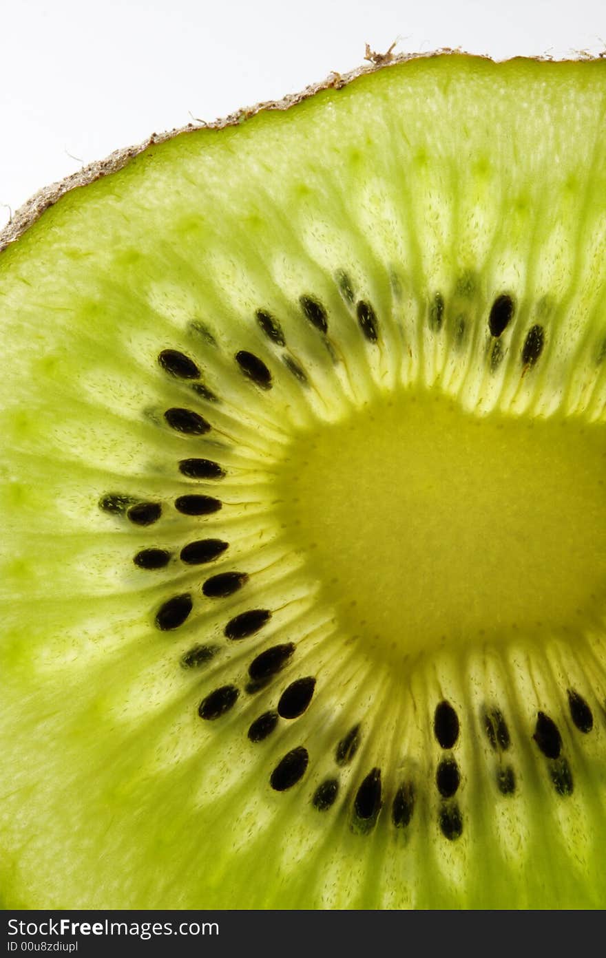 Kiwi Closeup